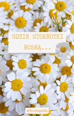 Gdzie stokrotki rosną... || ONE SHOT