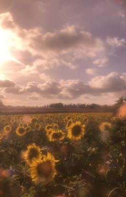 [Gemini Fourth] Mặt Trời Năm 18