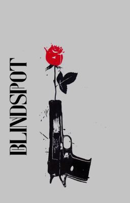 (GeminiFourth) BLINDSPOT