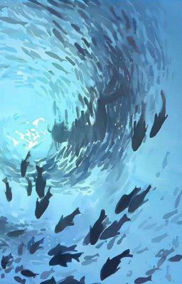 geminifourth ; đốc tờ họ trương