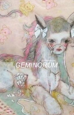 ❝geminorum❞ + huidawn