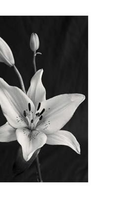 geonhasali | textfic | - my dear liyu.