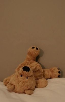 geonxin | lỗi hệ thống