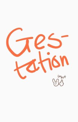 GESTATION | COFSRIE 18+ | KOOKMIN