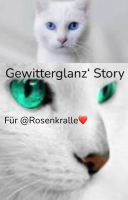 Gewitterglanz' Story (Fertig Geschrieben) 