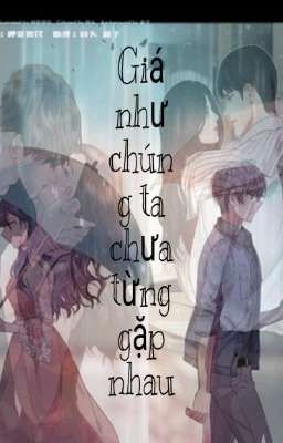 Giá như chúng ta chưa từng gặp nhau