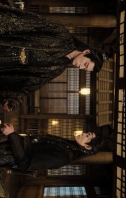 [Giác Chuỷ] Sao Như Mưa 星如雨 