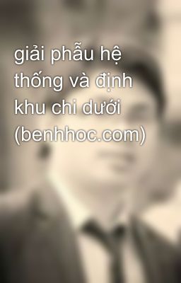 giải phẫu hệ thống và định khu chi dưới (benhhoc.com)