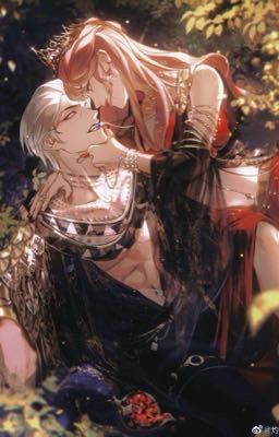 Giải trí tràng quyền dục tranh đấu: Quán đêm tiên sinh 