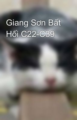 Giang Sơn Bất Hối C22-C39