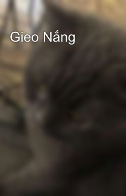 Gieo Nắng