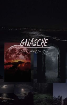 |Girllove| Gnasche - Tinh Hà Cứu Rỗi