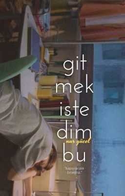 gitmek istedim bu