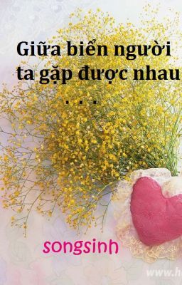 Giữa biển người ta gặp được nhau ...