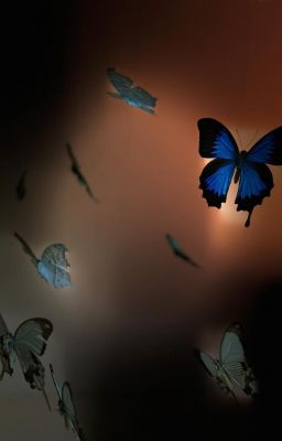 GIỮA MÙA ĐÔNG TẠI CANBERRA