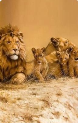 Glory of the King | A Lion Pride Group Roleplay |