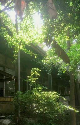 góc nhỏ có hai con người.