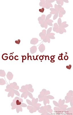 Gốc phượng đỏ