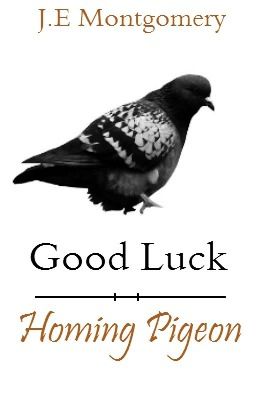 Good luck homing pigeon