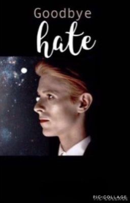 goodbye, hate | hullo, love sequel | ✔️