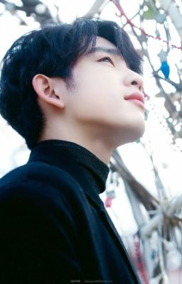 [GOT7] - Umma của bọn trẻ