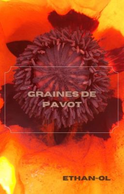 graines de pavot