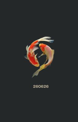 [greybinh] điểm nemo