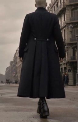 Grindelwald Fanfiction (searching for title)