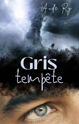 Gris tempête (tome 2)