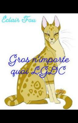 Gros n'importe quoi LGDC 