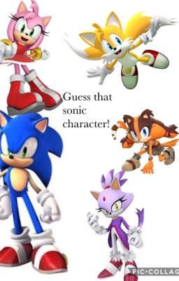 Guess that sonic character 