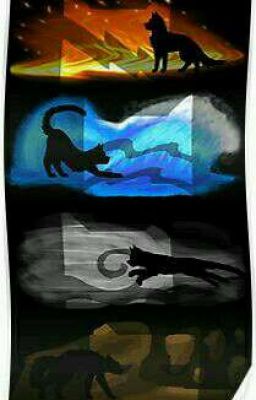 Guess that Warrior Cat!