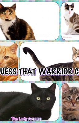 Guess that Warrior Cat!