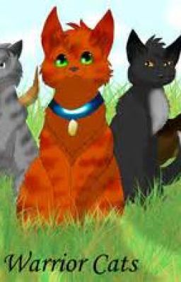 Guess the warrior cat