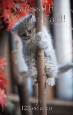 Guess the warrior cat!!!