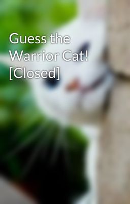 Guess the Warrior Cat! [Closed]