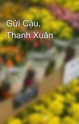 Gửi Cậu, Thanh Xuân