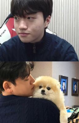 GUKE | SERIES | CÚN YÊU