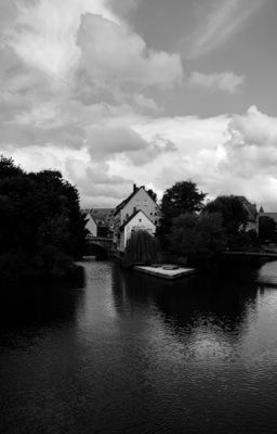 gungoo; around the world in a day