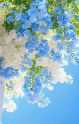 [guria/textfic] panacea - drop