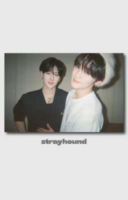 Gyuricky | STRAYHOUND