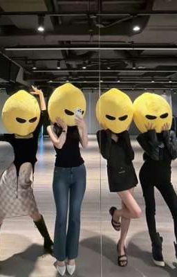 H collection