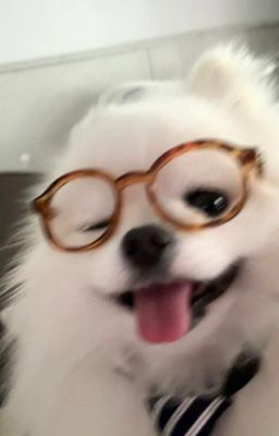 h2h| hachuha