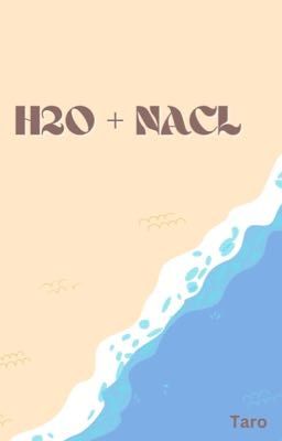 H2O + NaCl (H2O just add water ff)