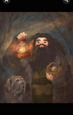 hagrid instagram