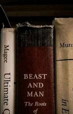 | Hải Nam x Negav | ma cà rồng