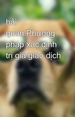 hải quan.Phương pháp xác định trị giá giao dịch