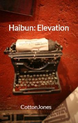 Haibun:  Elevation