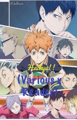 Haikyu!! (Various x Reader)