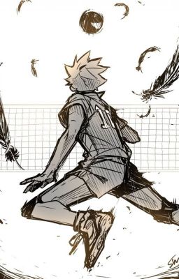 [Haikyuu!!/ Allhina] Our Little Sunshine